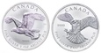 Kanada, 5 dolarów 2014, Orzeł Bielik, Sokół Wędrowny (2szt.)